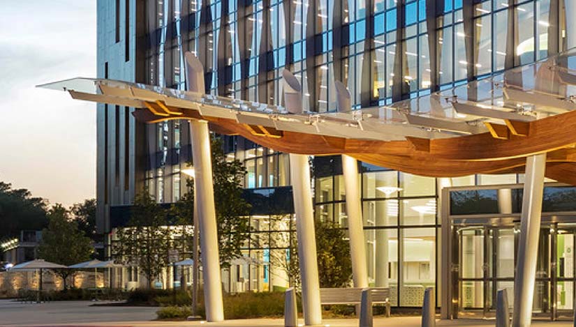 Guiding Principles – DaVinci Development Collaborative